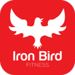 Iron Bird Fit