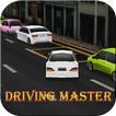 ”Driving Master - 3D
