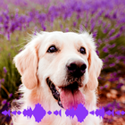 Dog Soundboard 101 아이콘