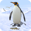 ”Penguin Simulator Bird Life