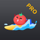 آیکون‌ VPN Tomato Pro