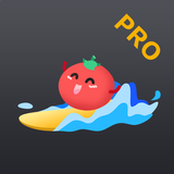 VPN Tomato Pro 圖標