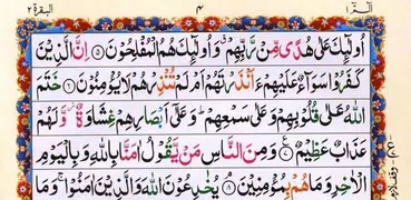 Tajweedi Quran Urdu