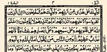 Urdu Quran (16 lines per page)