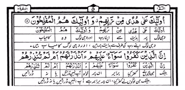Urdu Quran (Word to Word)