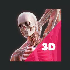Irusu 3D Human Anatomy