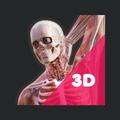 3D-Anatomie-Lern-App