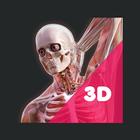 3D Human Anatomy Learning App آئیکن