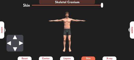 3D-Anatomie-Lern-App Plakat