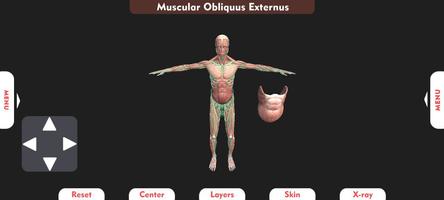 3D Human Anatomy Learning App اسکرین شاٹ 2
