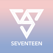 ”SEVENTEEN LIGHT STICK