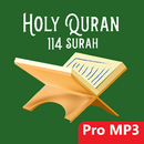 Holy Quran 114 Surah With Voice - Muslim App APK