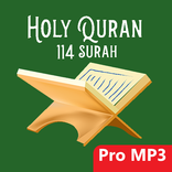 Holy Quran 114 Surah With Voice - Muslim App