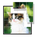 Pictomino APK