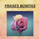 Frases Bonitas icon