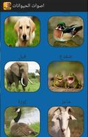 animals sounds স্ক্রিনশট 2