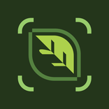 PlantEase: Plant ID & Care App