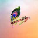 Bhagavad Gita in Hindi APK