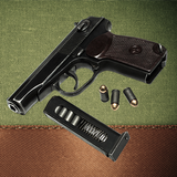 The Makarov pistol