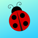 Lady Bug APK