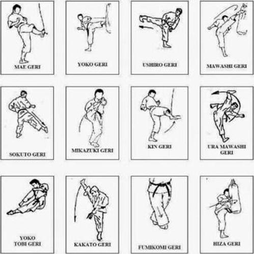 temel karate hareketi teknikleri apk