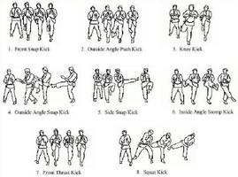 Techniques de base du mouvement de karaté capture d'écran 1