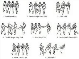 Basic Karate Movement Techniques ภาพหน้าจอ 1