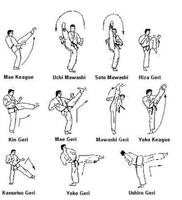 Mouvement de base d'apprentissage du taekwondo capture d'écran 1