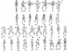 2 Schermata Apprendimento del movimento di base del Taekwondo
