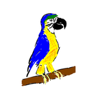 ParroTaunt أيقونة