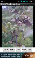 Picture Filter Impressionist الملصق