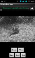 Picture Grayscale تصوير الشاشة 1