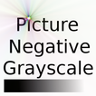 Picture Negative Grayscale