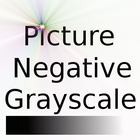 Picture Negative Grayscale icône