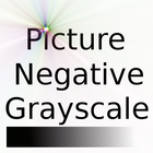 Picture Negative Grayscale أيقونة