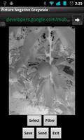 Picture Negative Grayscale تصوير الشاشة 1