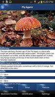 Mushroom Id - British Fungi screenshot 1