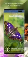 Butterfly Id - British Isles पोस्टर