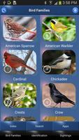 Bird Id North America Plakat