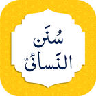 Sunan an-Nasa'i Hadiths Arabic & English أيقونة