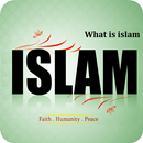 Qu'est-ce que l'islam APK