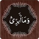 Para 13 APK