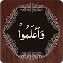 Para 10 APK