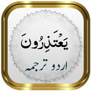 Para 11 + Urdu APK
