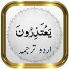 Para 11 + Urdu ไอคอน