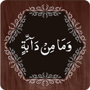 Para 12 APK
