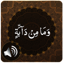 Para 12 Audio APK