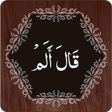 Para 16-icoon