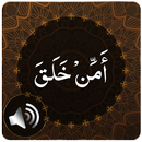 Para 20 Audio APK