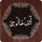 Para 21 APK
